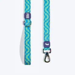 Dash Dog Vector Dual Handle Leash For Dog - Aqua Blue