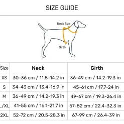 Dash Dog Vector Easy Walk Harness For Dog - Aqua Blue