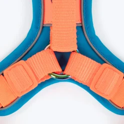Dash Dog Walk Pro Harness For Dog - Blue & Orange
