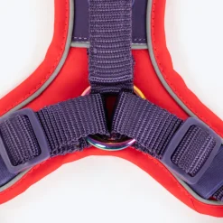 Dash Dog Walk Pro Harness For Dog - Red & Purple