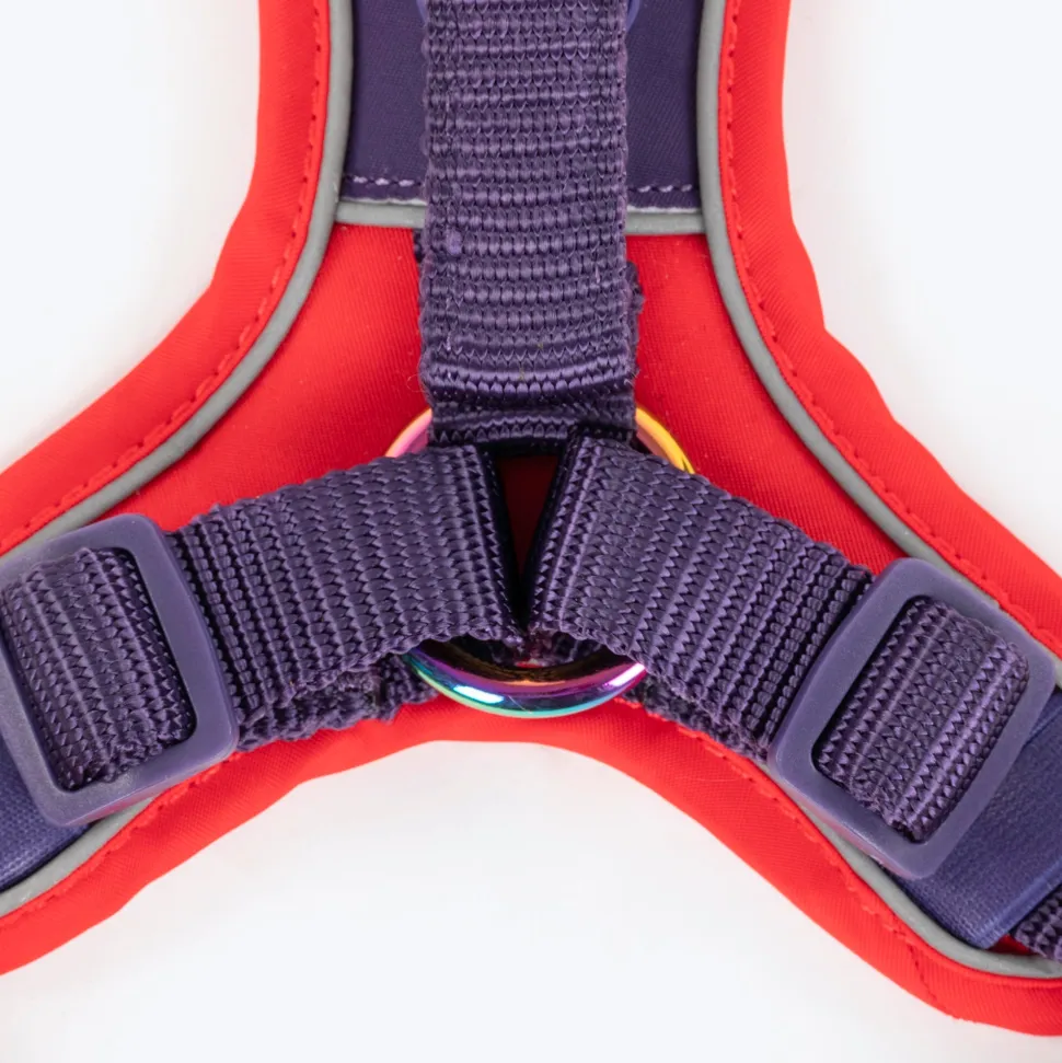Dash Dog Walk Pro Harness For Dog - Red & Purple