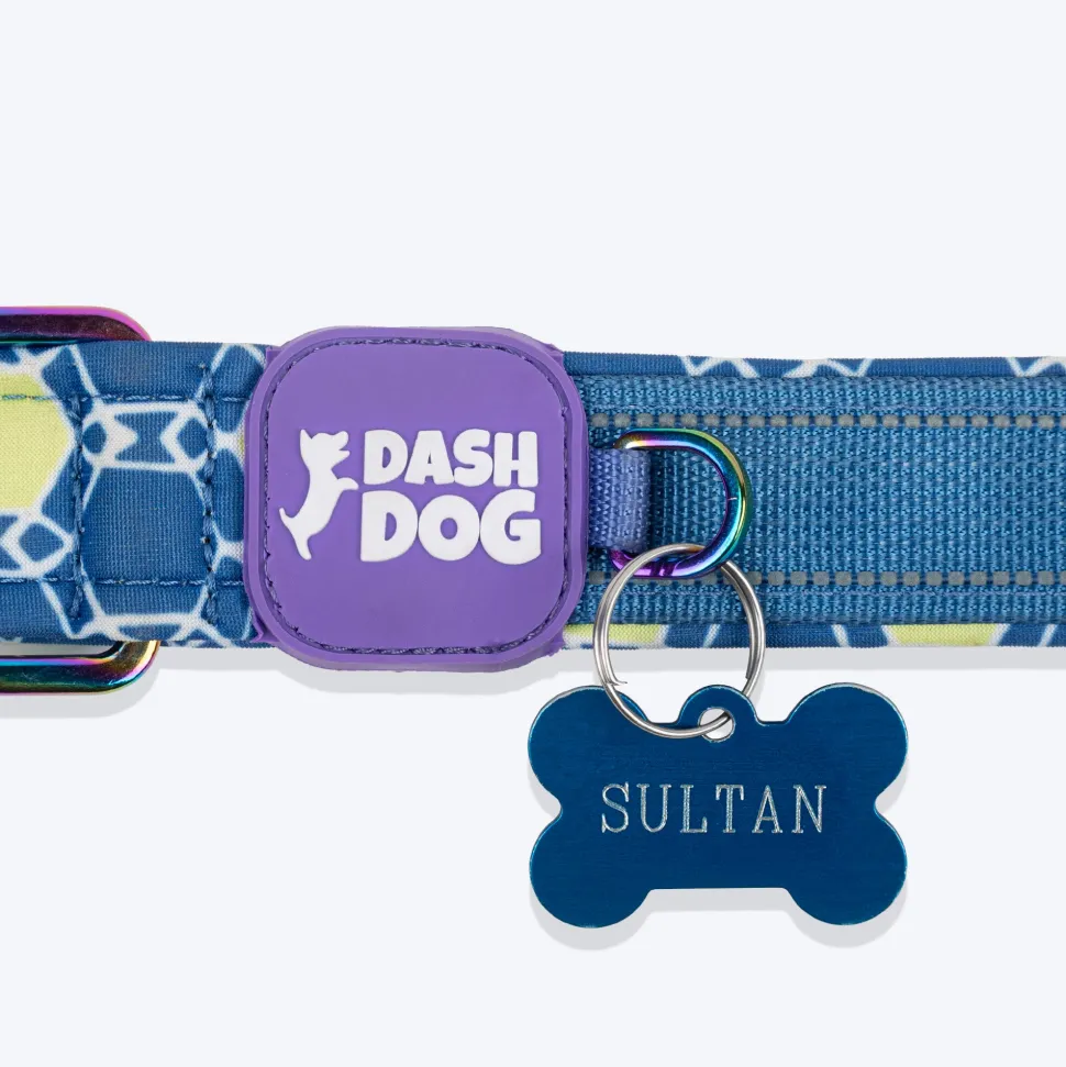 Dash Dog Wildcrest Padded Collar For Dog - Blue & Neon Green