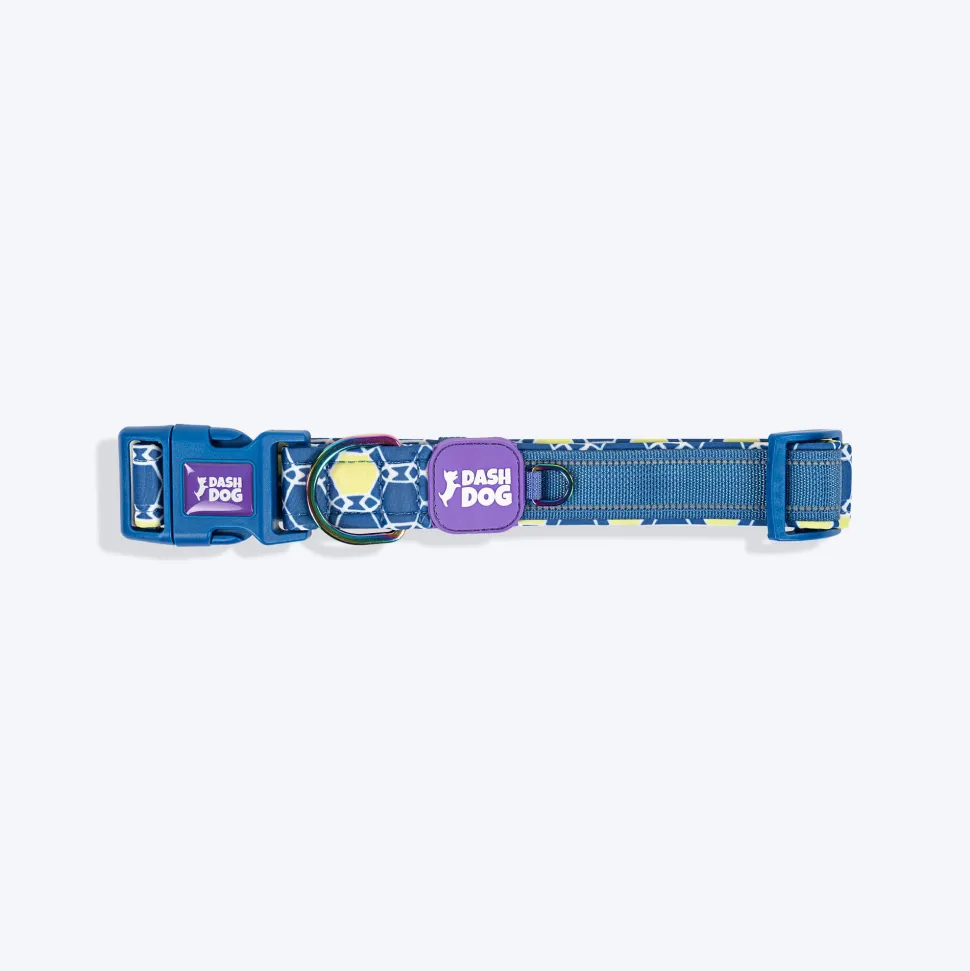 Dash Dog Wildcrest Padded Collar For Dog - Blue & Neon Green