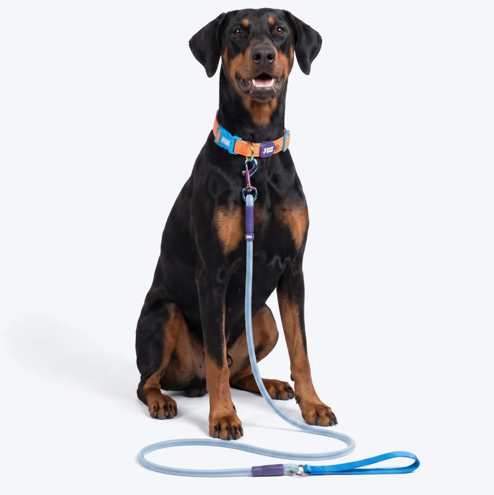 Dash Dog Zoom Easy Leash For Dog - Blue