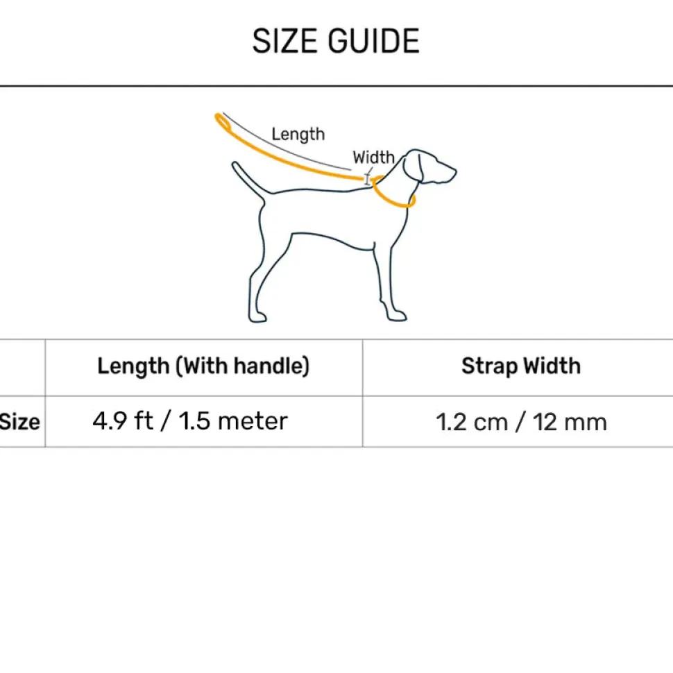 Dash Dog Zoom Easy Leash For Dog - Purple