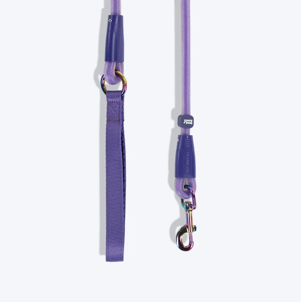 Dash Dog Zoom Easy Leash For Dog - Purple