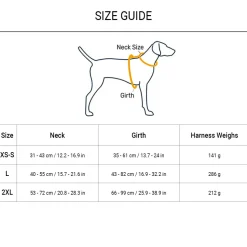 Dash Dog Zoom Walk Along Harness - Aqua Blue & Lavender