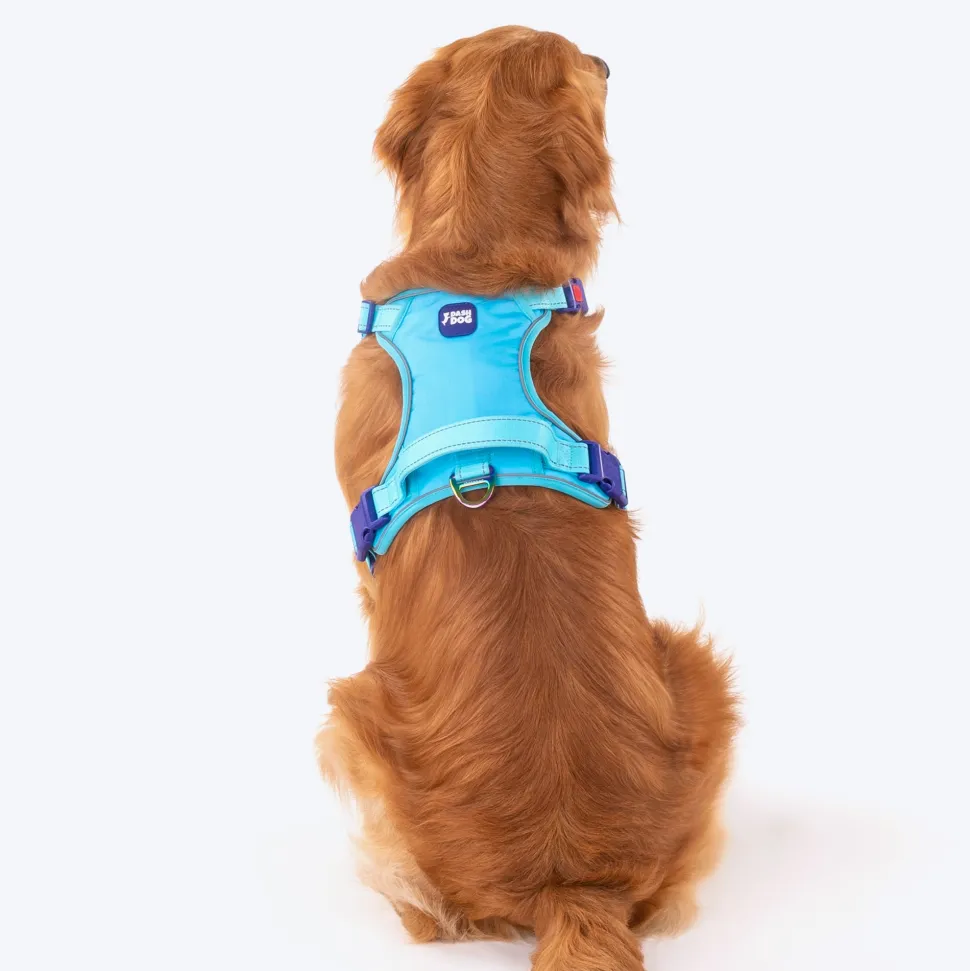 Dash Dog Zoom Walk Along Harness - Aqua Blue & Lavender