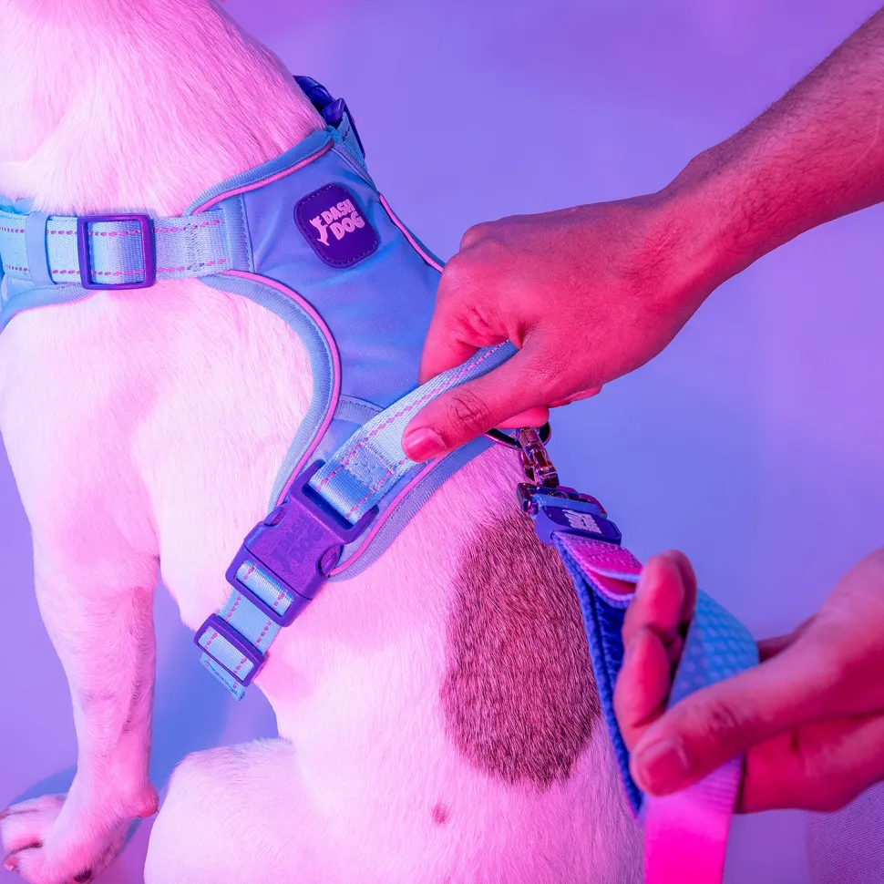 Dash Dog Zoom Walk Along Harness - Aqua Blue & Lavender