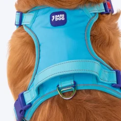Dash Dog Zoom Walk Along Harness - Aqua Blue & Lavender