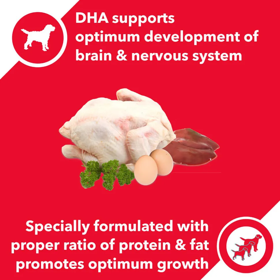 Drools Chicken and Egg Dry Food For Puppy