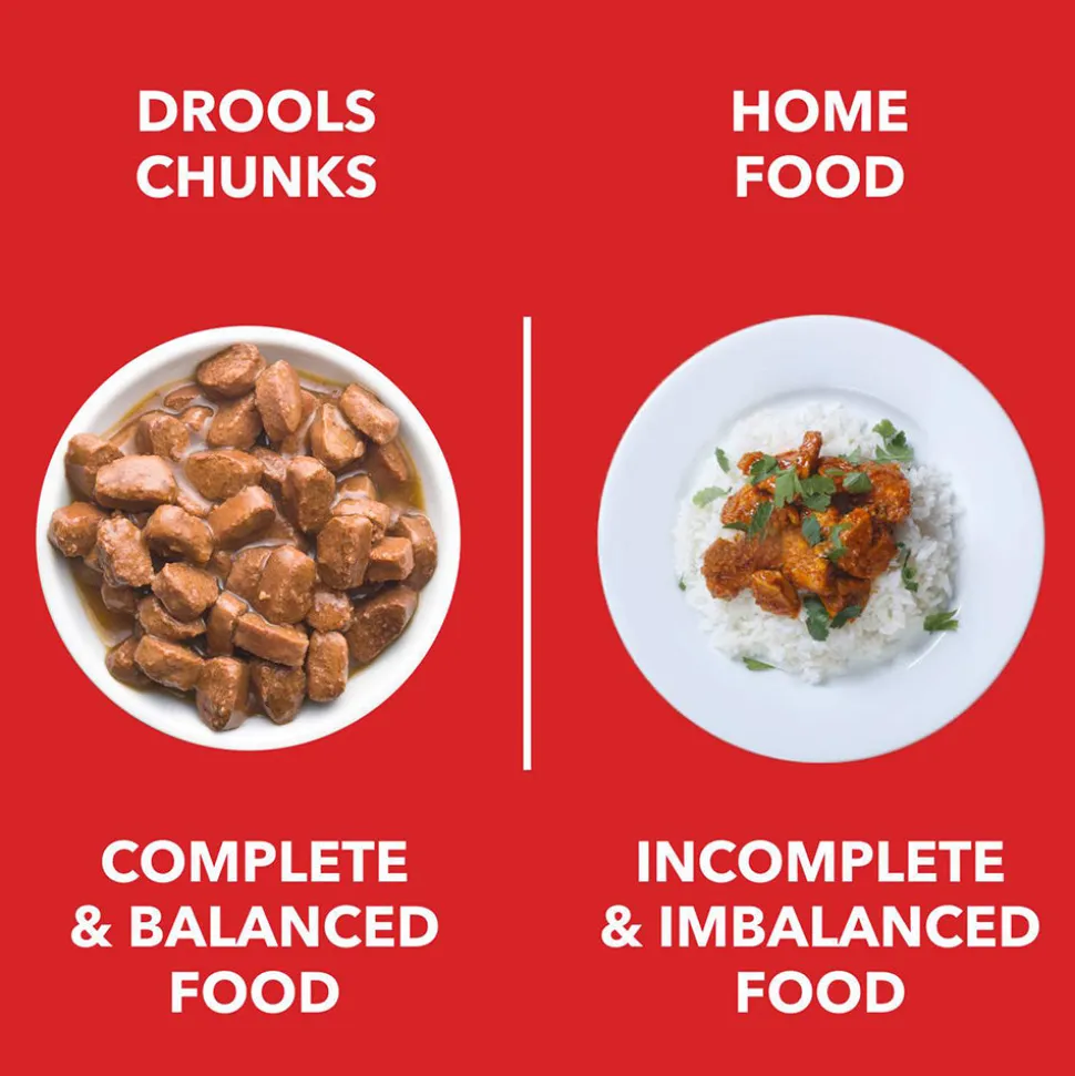 Drools Real Chicken and Chicken Liver Chunks in Gravy Wet Food For Adult Dog - 150 g