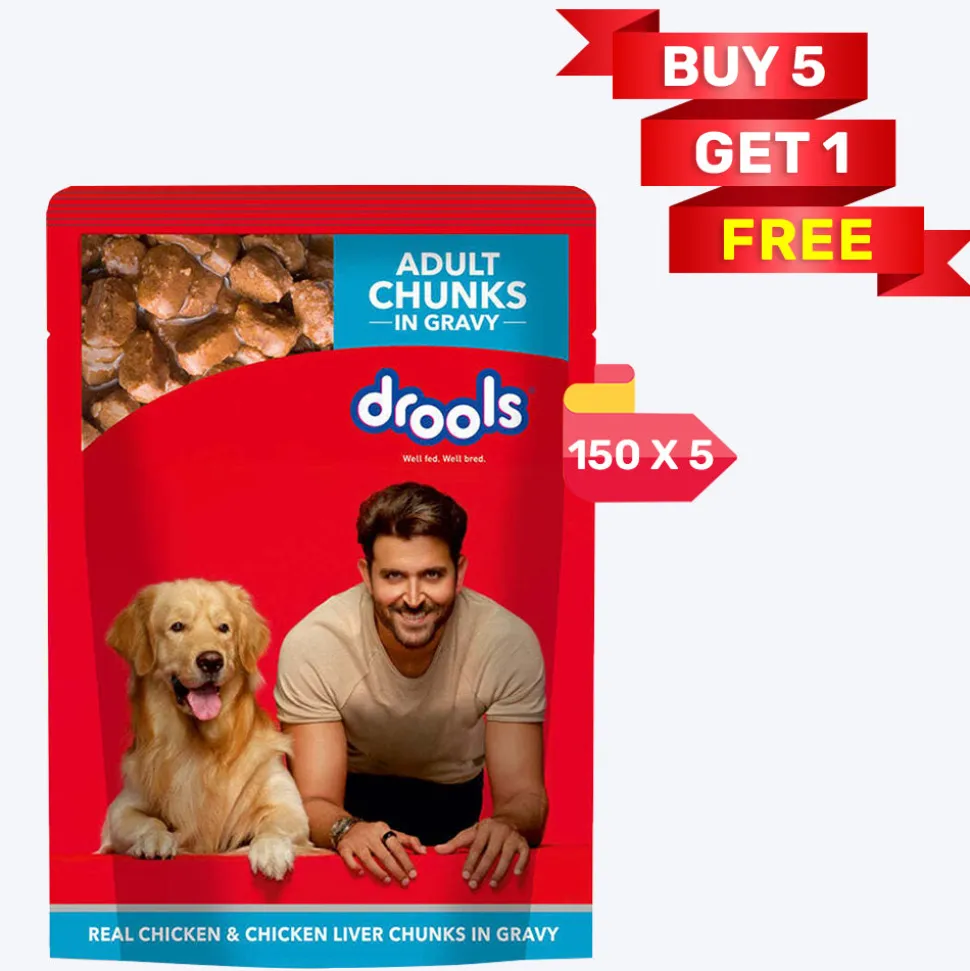 Drools Real Chicken and Chicken Liver Chunks in Gravy Wet Food For Adult Dog - 150 g