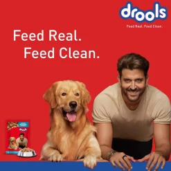 Drools Real Chicken and Chicken Liver Chunks in Gravy Adult Wet Dog Food - 150 g Packs