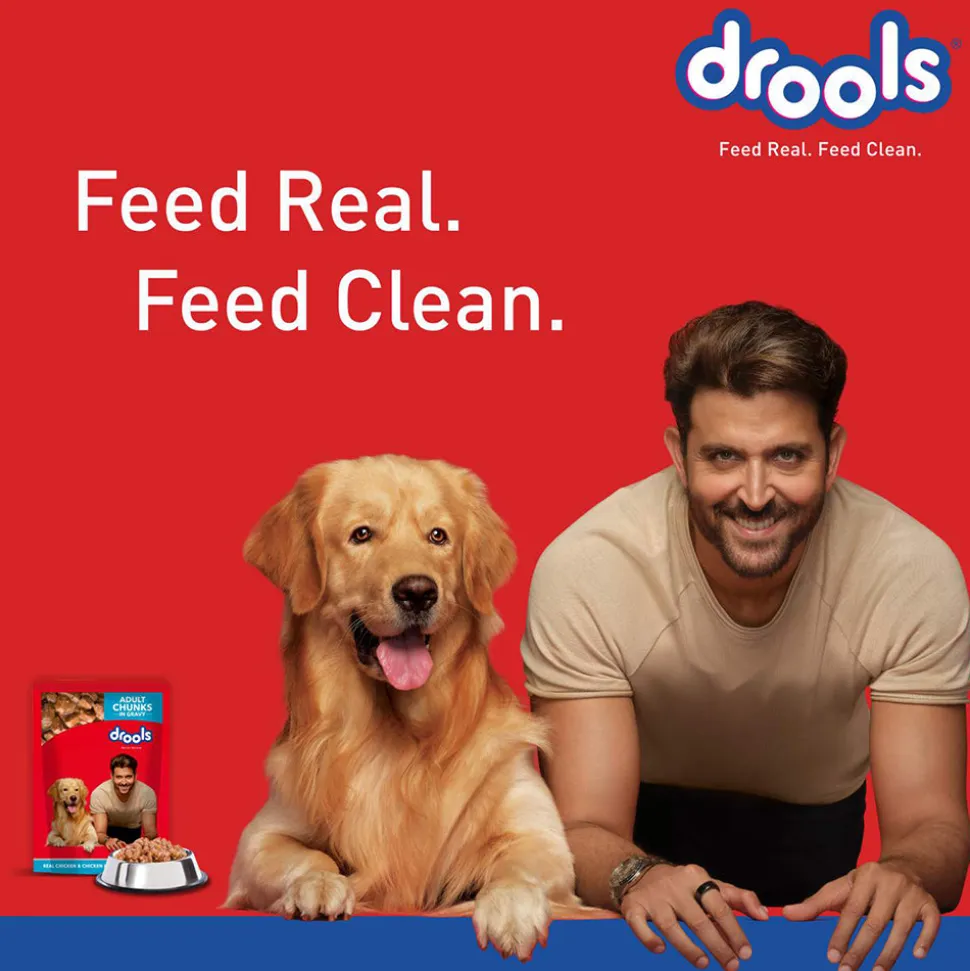 Drools Real Chicken and Chicken Liver Chunks in Gravy Adult Wet Dog Food - 150 g Packs