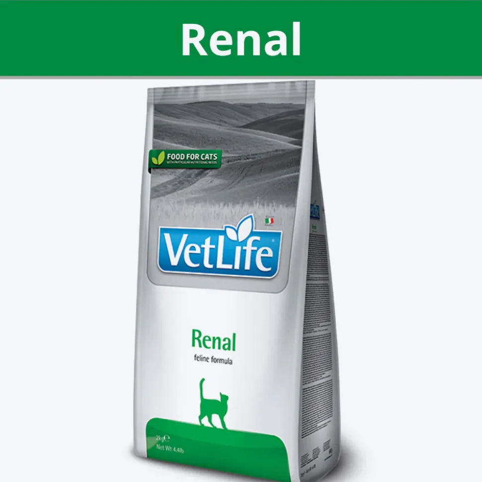 Farmina Vet Life Renal Feline Formula Dry Food For Cat - 2 kg