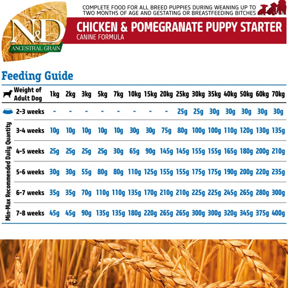 Farmina N&D Ancestral Grain Starter All Breeds Dry Puppy Food - Chicken & Pomegranate