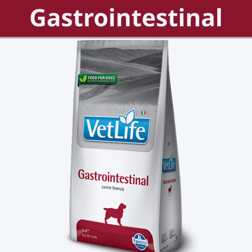 Farmina Vet Life Gastrointestinal Canine Formula Rice & Chicken Dry Food For Adult Dog