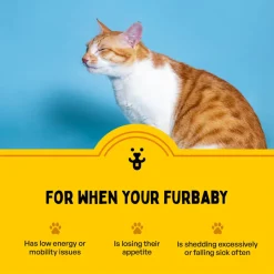 Furlicks Multivitamin Strawberry Oral Supplement For Cat and Dog - 45g (30 Strips)