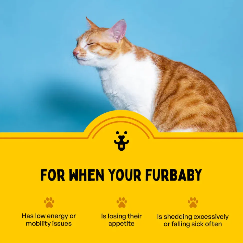 Furlicks Multivitamin Strawberry Oral Supplement For Cat and Dog - 45g (30 Strips)
