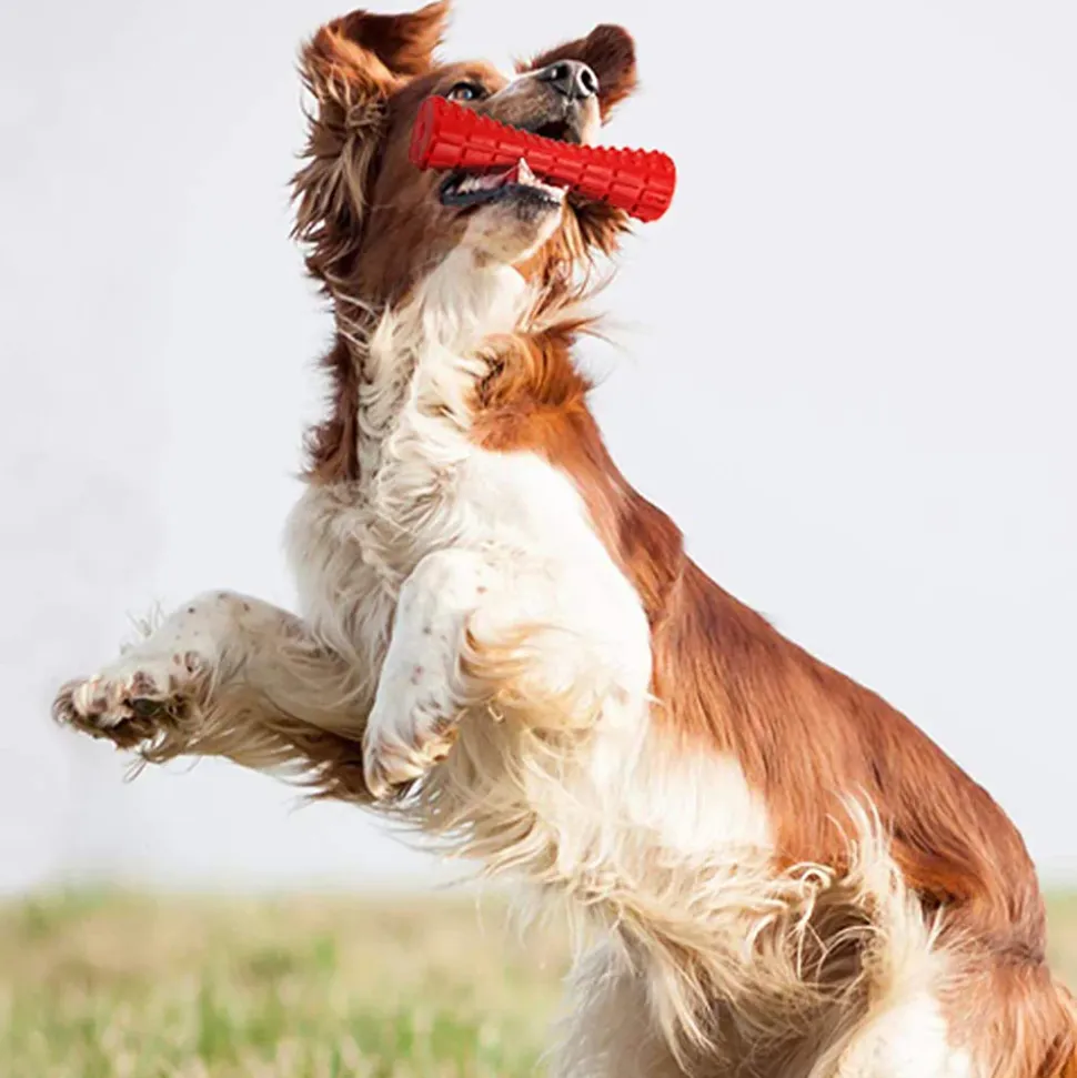 GiGwi Extra Durable Johnny Stick (Solid) Dog Chew Toy - Red