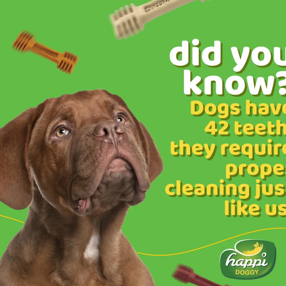 Happi Doggy Vegetarian Dental Chew (Digestive Support) - Pumpkin & Mountain Yam (Singles) - 25 g