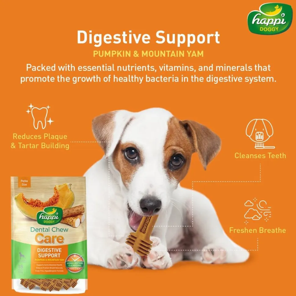 Happi Doggy Vegetarian Dental Chew (Digestive Support) - Pumpkin & Mountain Yam (Singles) - 25 g