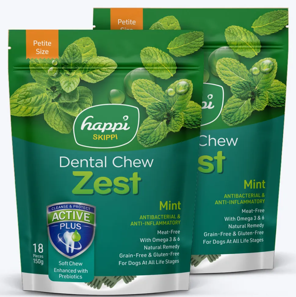 Happi Skippi Vegetarian Dental Chew - Zest - Mint - Petite - 2.5 inch - 150 g - 18 Pieces
