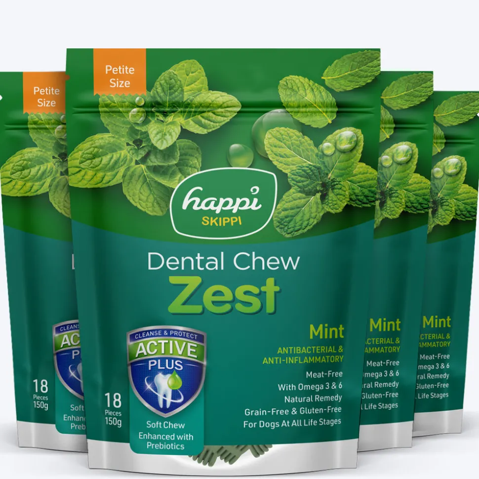 Happi Skippi Vegetarian Dental Chew - Zest - Mint - Petite - 2.5 inch - 150 g - 18 Pieces