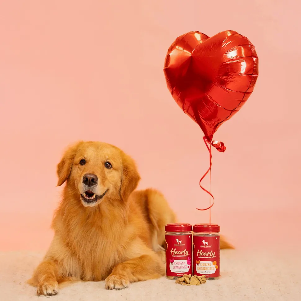 Hearty Chicken & Cheddar Cheese Dog Biscuits Gluten-Free 320g