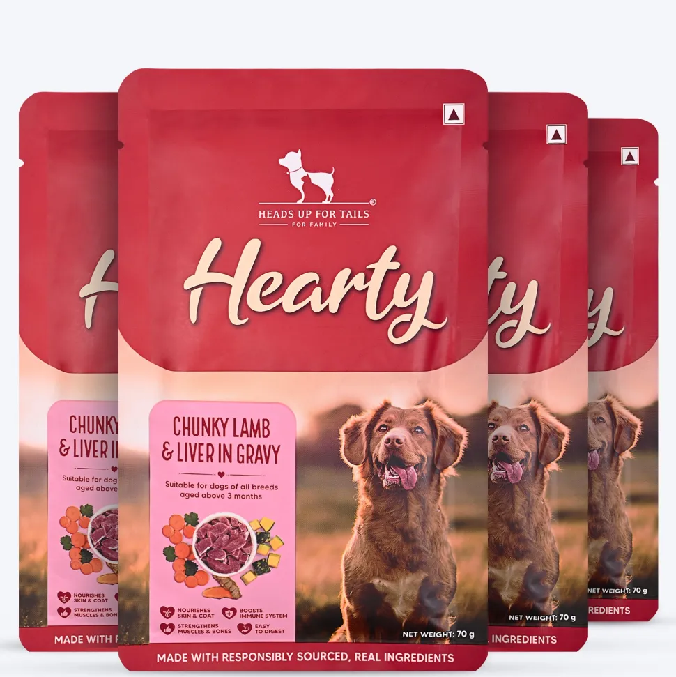 Hearty Chunky Lamb & Liver in Gravy Dog Food 70g
