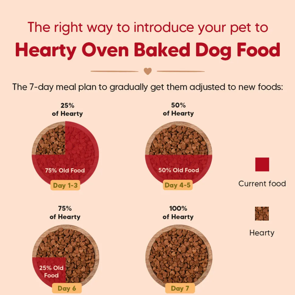 Hearty Oven-Baked Lamb & Blueberry Adult Dog Food All Breeds