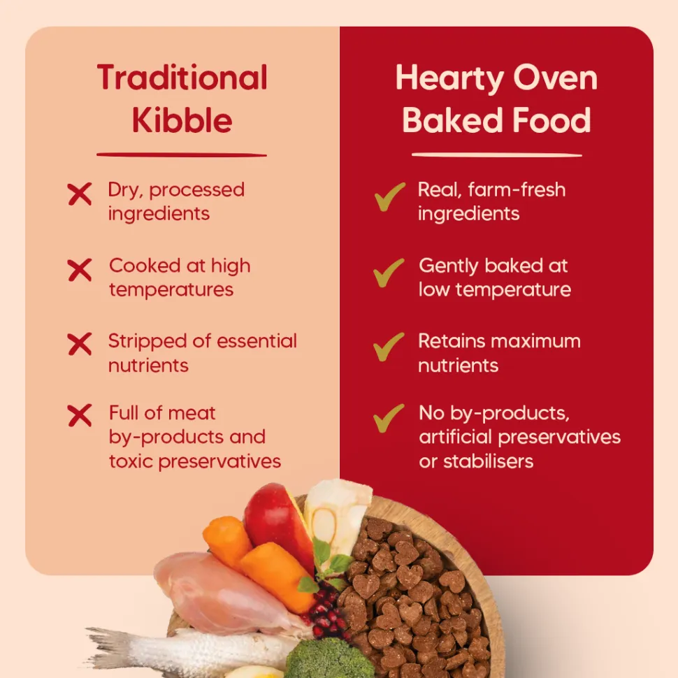 Hearty Oven-Baked Puppy Food Chicken & Fish with Superfoods - 250 gm (Best Before August'26)