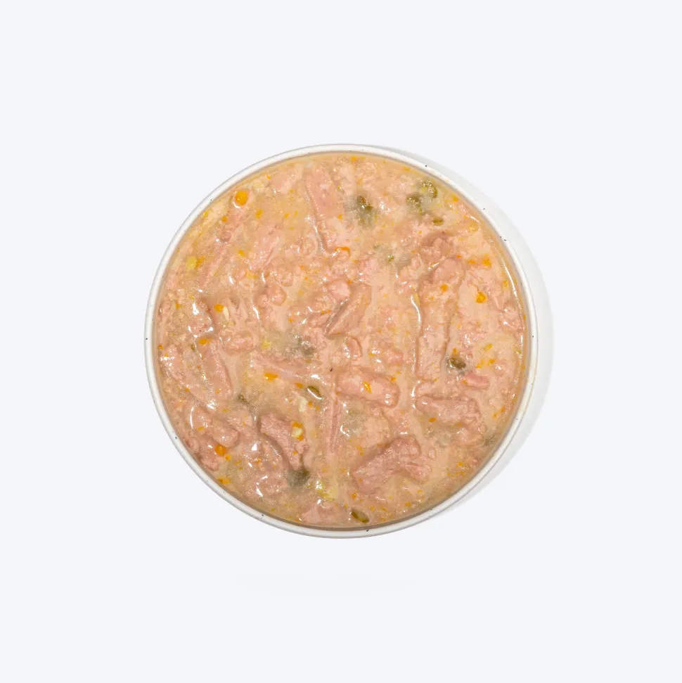 Hearty Shredded Chicken & Pumpkin in Gravy Wet Dog Food - Pack of 15 (70 gm each)