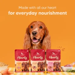 Hearty Shredded Chicken & Pumpkin in Gravy Wet Dog Food 70g