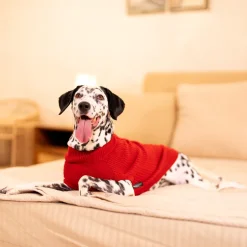 HUFT Berry Merry Sweater For Dog - Red