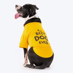 HUFT Best Dog Ever Pet Sweatshirt - Yellow