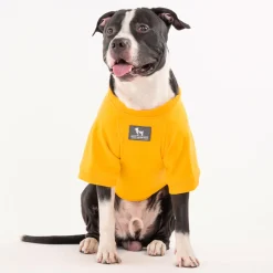 HUFT Best Dog Ever Pet Sweatshirt - Yellow