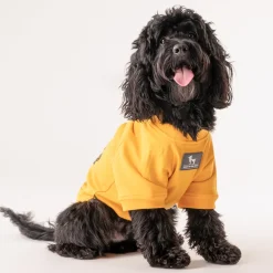 HUFT Best Dog Ever Pet Sweatshirt - Yellow