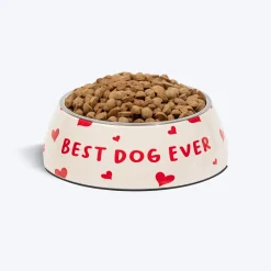 HUFT Best Dog Ever Printed Melamine Bowl With Steel Inserts For Dog - Beige