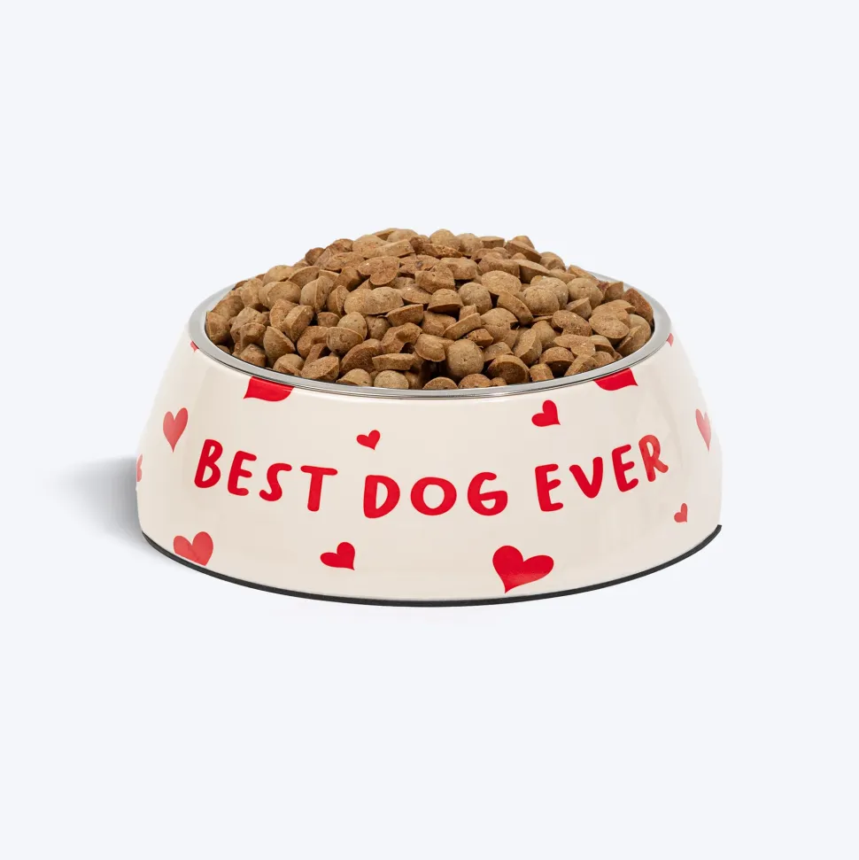 HUFT Best Dog Ever Printed Melamine Bowl With Steel Inserts For Dog - Beige