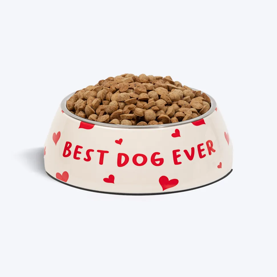 HUFT Best Dog Ever Printed Melamine Bowl With Steel Inserts For Dog - Beige