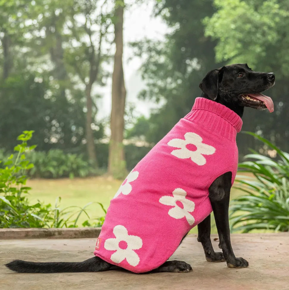 HUFT Blossom Knit Sweater For Dog - Pink