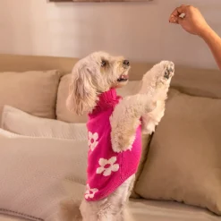 HUFT Blossom Knit Sweater For Dog - Pink
