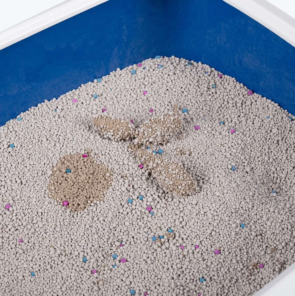 HUFT Cat Litter (Natural & Clumping) - Unscented - 5 kg