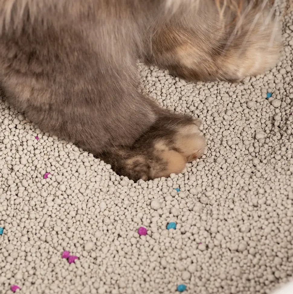 HUFT Cat Litter (Natural & Clumping) - Unscented - 5 kg