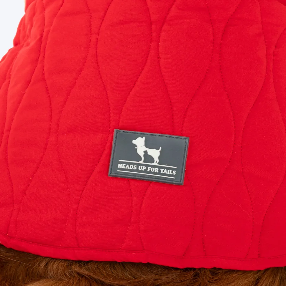 HUFT Charming Cherry Jacket For Big Dog - Red