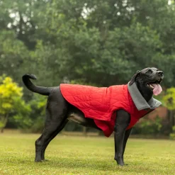 HUFT Charming Cherry Jacket For Big Dog - Red