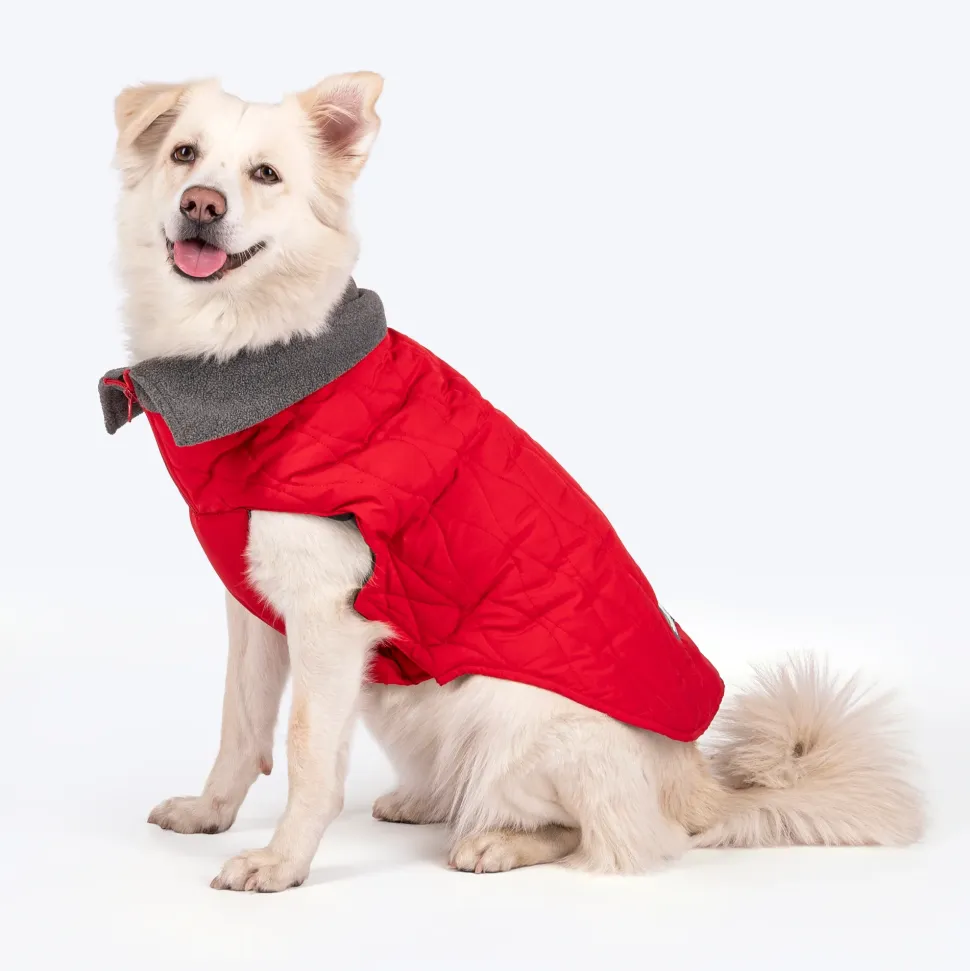 HUFT Charming Cherry Jacket For Big Dog - Red