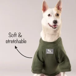 HUFT Chief Cuddle Officer Pet Sweatshirt - Green